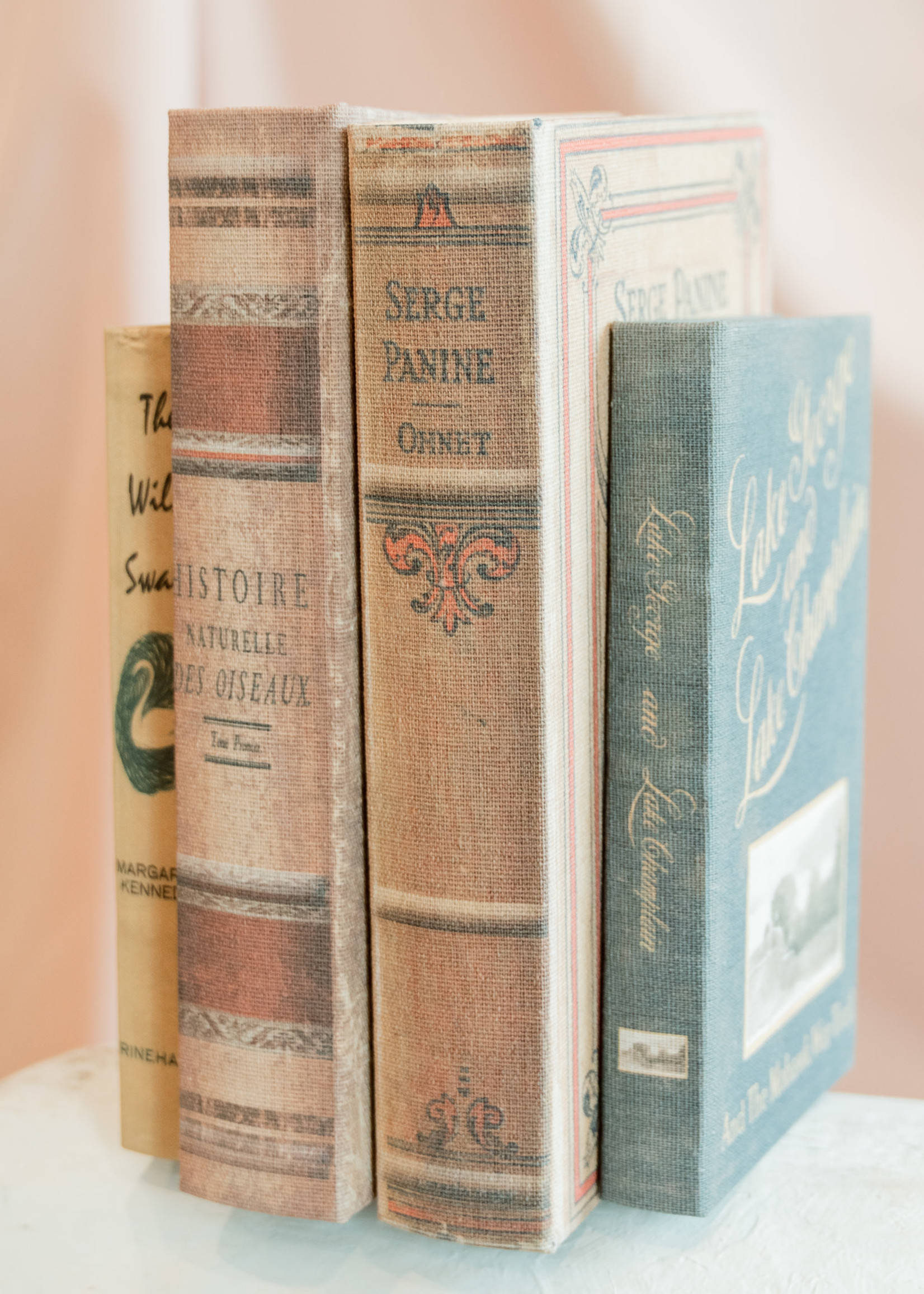 Book Storage Boxes, Set of 2 "Histoire Naturelle?"