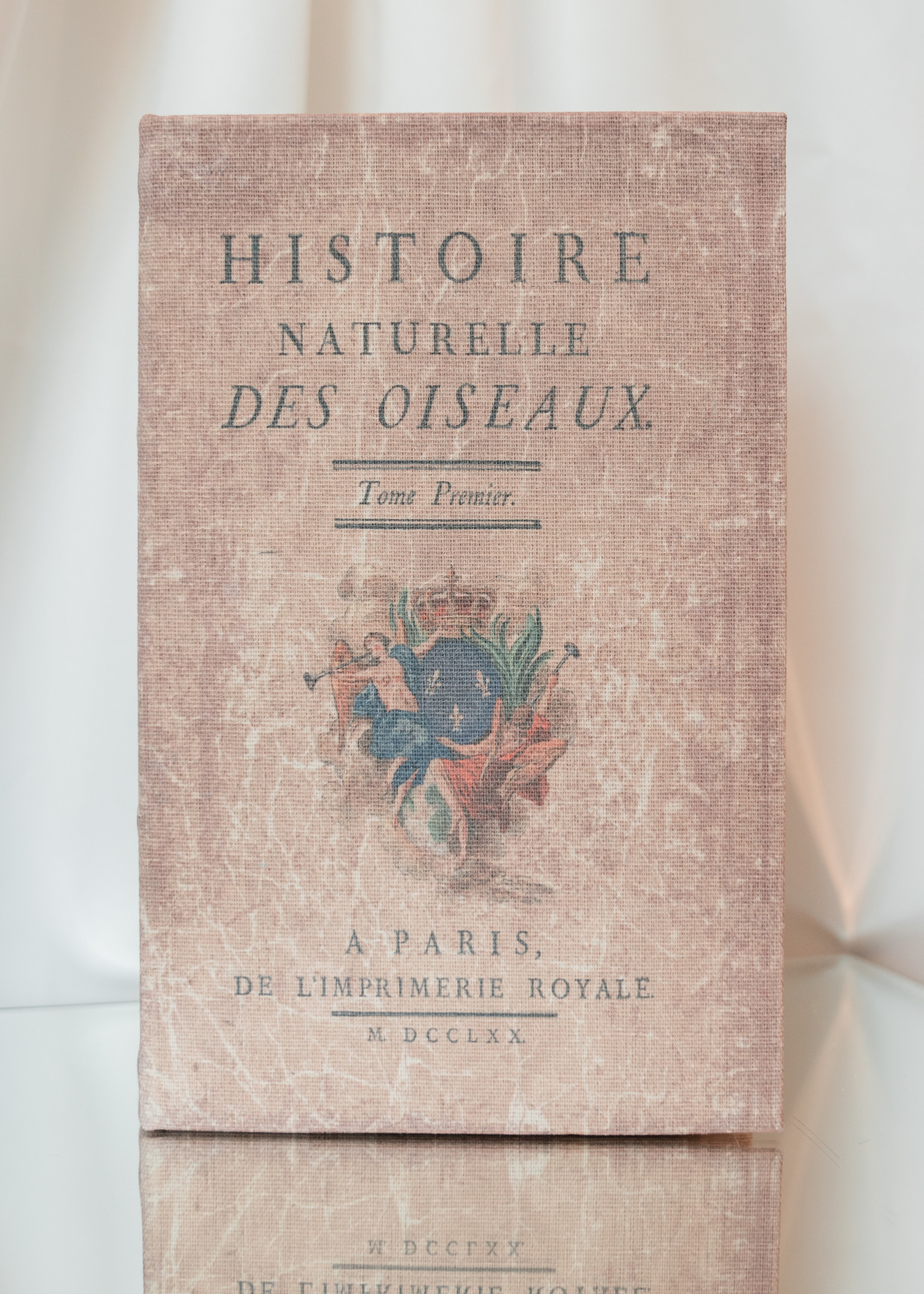 Book Storage Boxes, Set of 2 "Histoire Naturelle?"