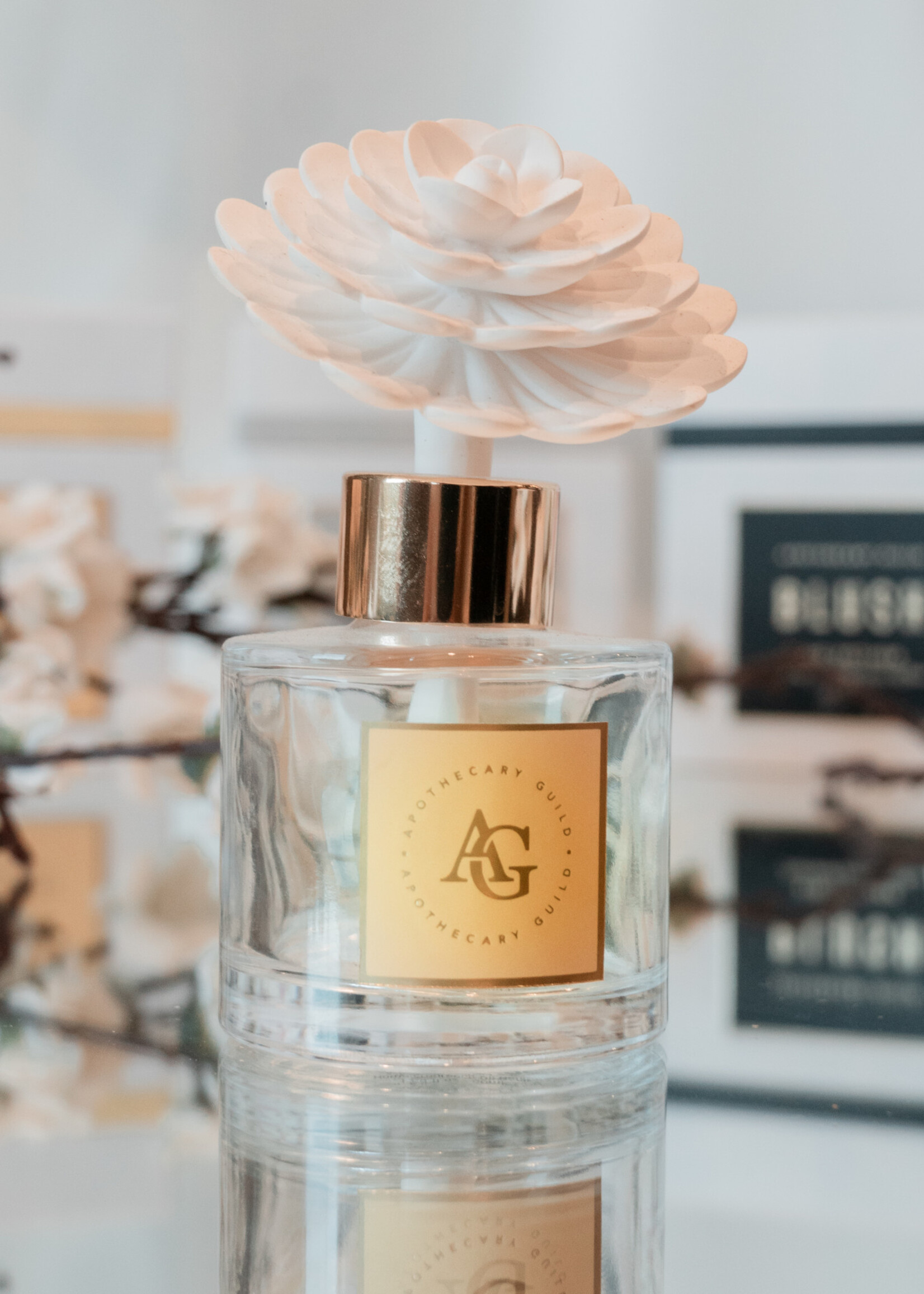 BLUSH Porcelain Diffuser