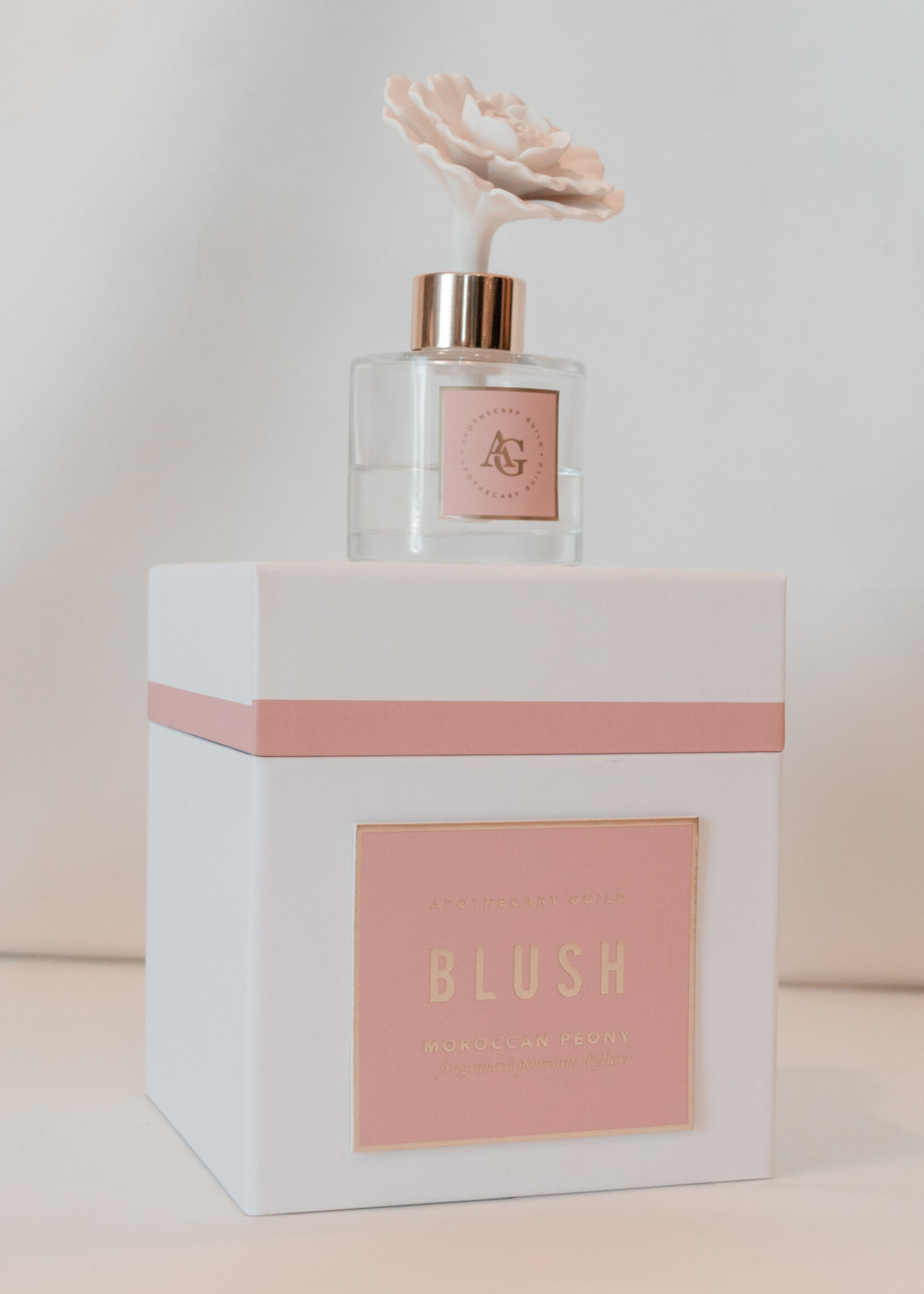BLUSH Porcelain Diffuser