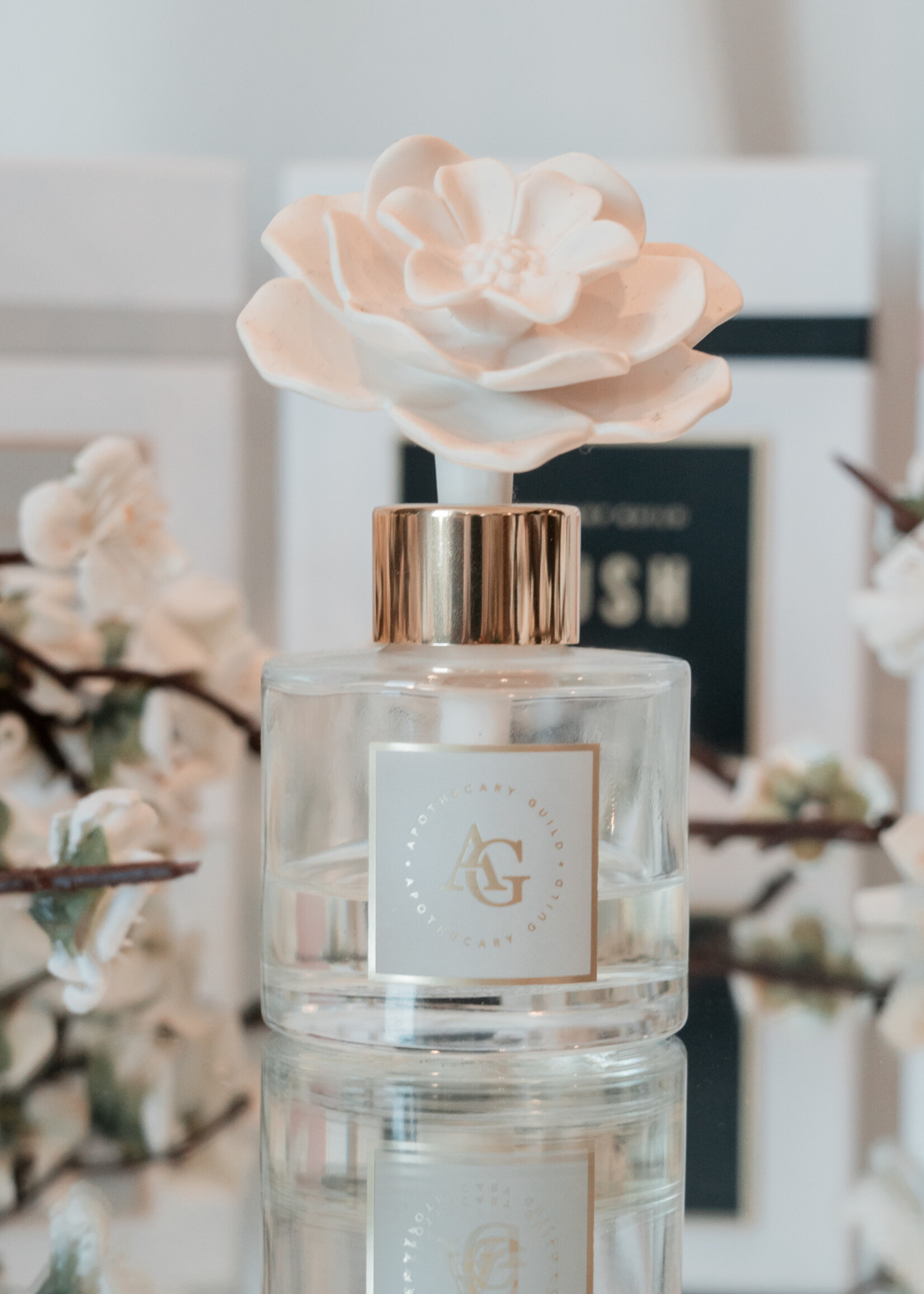 BLUSH Porcelain Diffuser