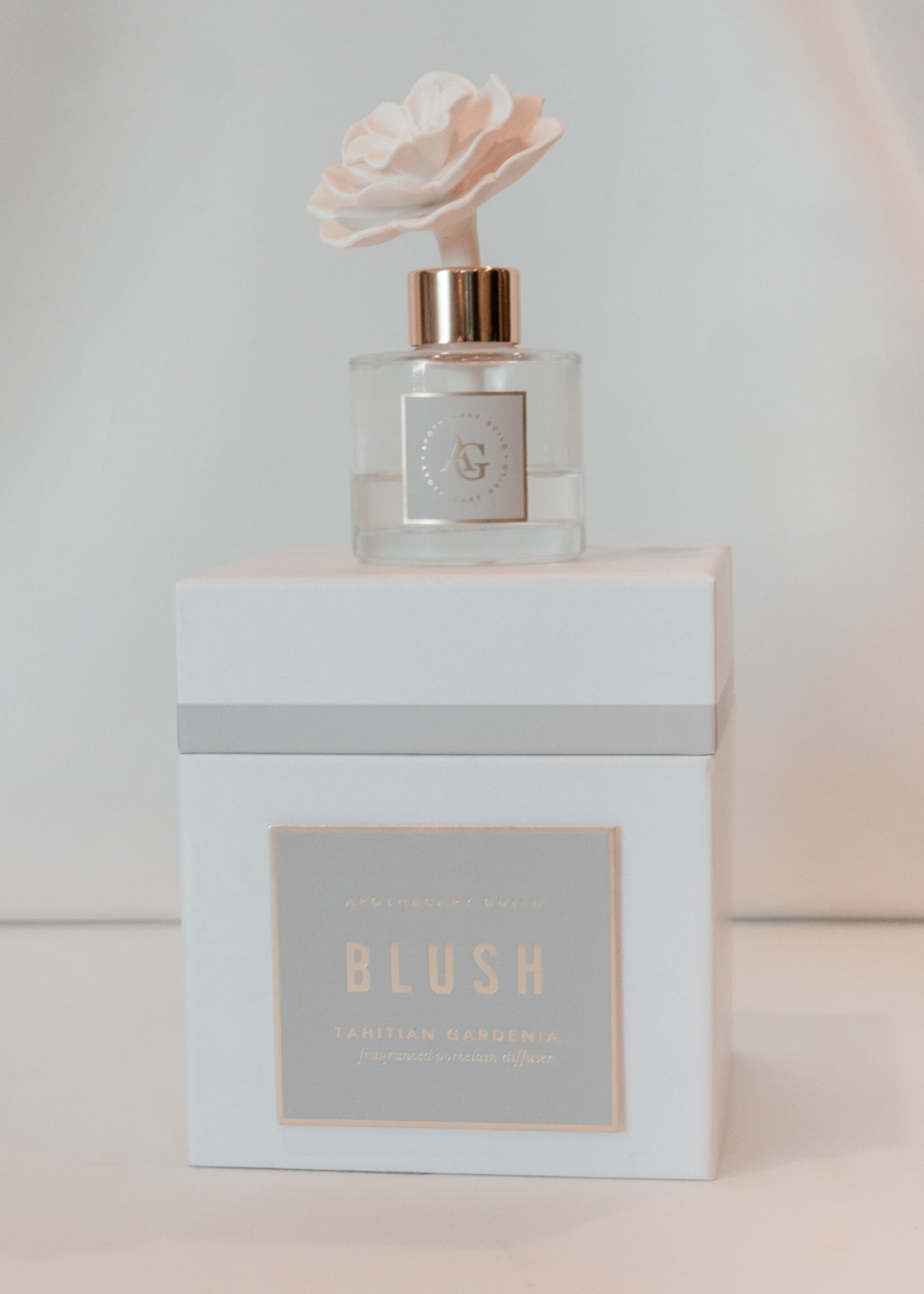 BLUSH Porcelain Diffuser