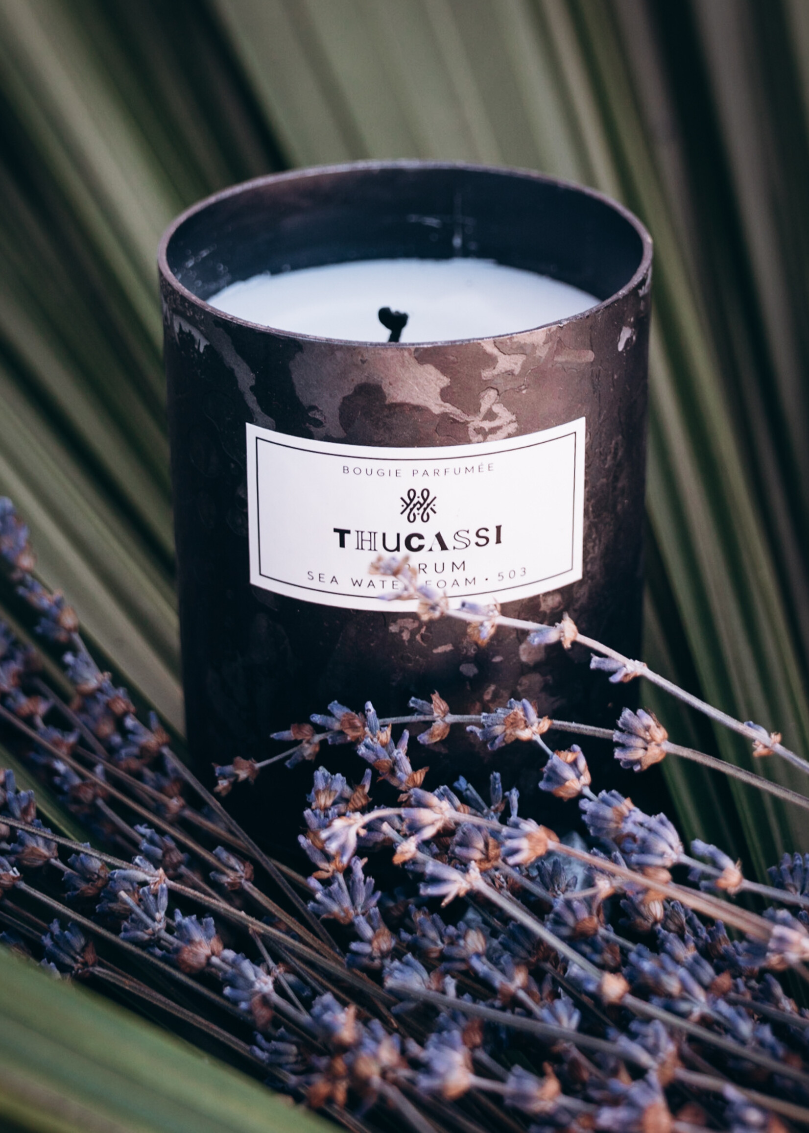 Thucassi Diffuser