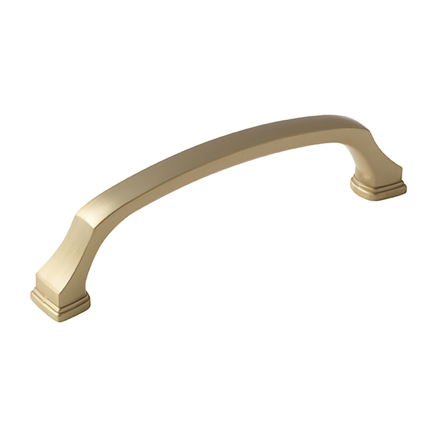 Amerock Revitalize Pull