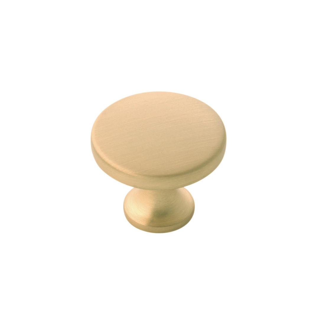 Hickory Hardware Forge Round Knob