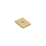 Schaub Pub House Knob Backplate Signature Satin Brass - 1 in