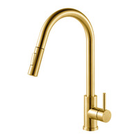 CARMELA - II Ferreira Gold Brass Kitchen Faucet