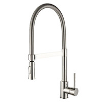 SOFI - Brushed Nickel Brass Kitchen Faucet