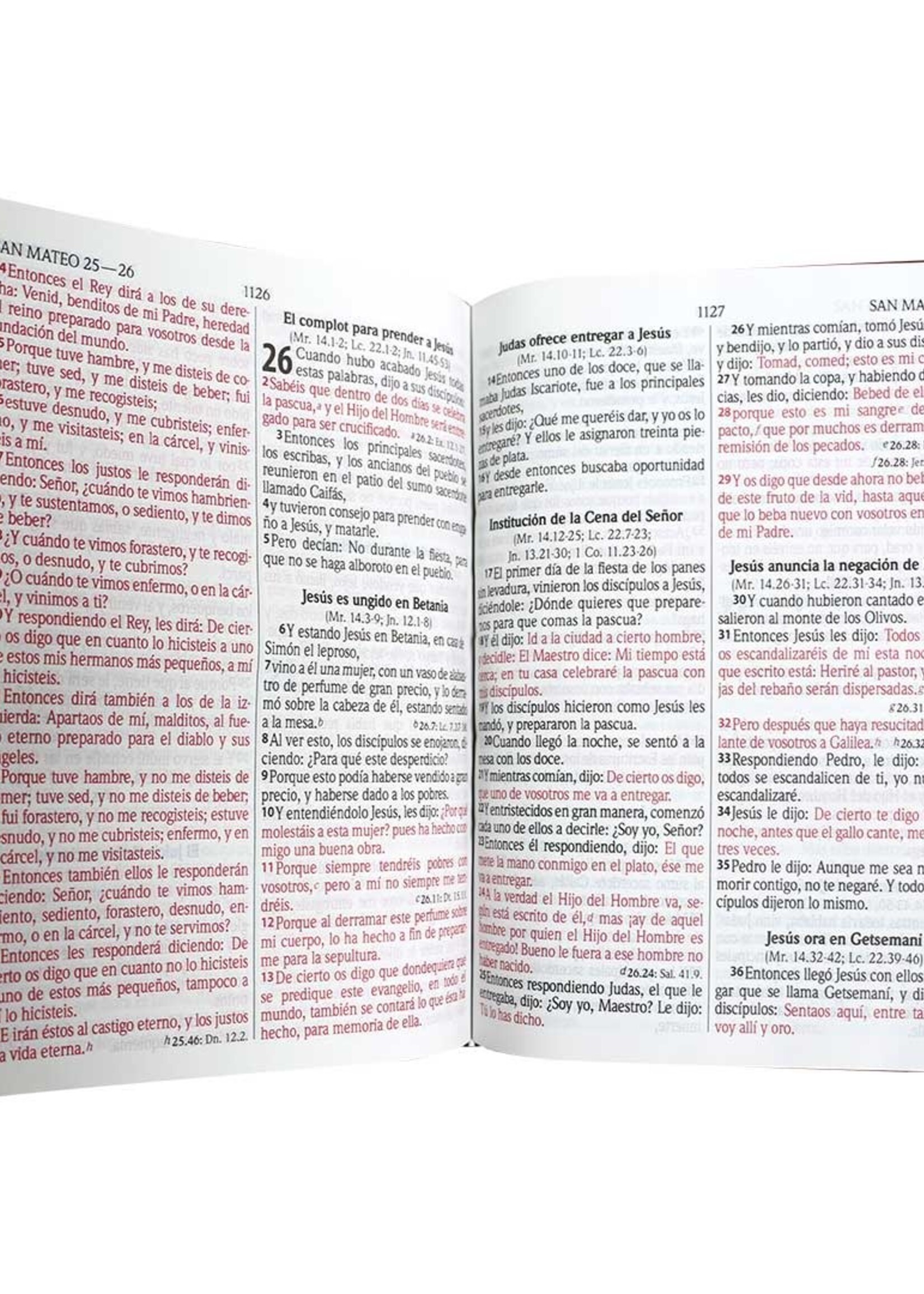 SOCIEDAD BIBLICA BIBLIA RVR60 CON CONCORDANCIA CANTO ROJO VINIL NEGRA