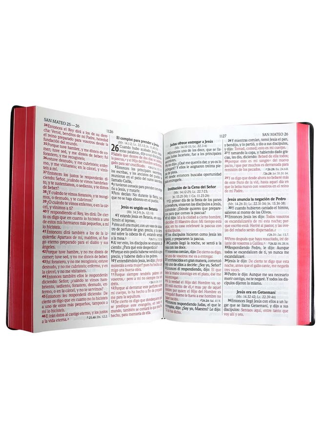BIBLIA RVR60 CON CONCORDANCIA CANTO ROJO VINIL NEGRA