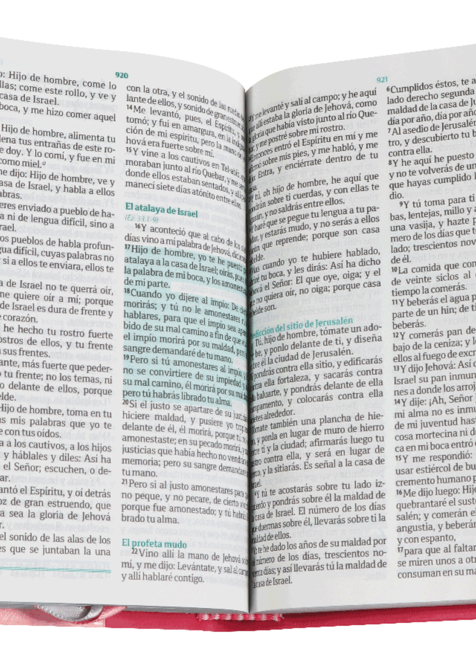 SOCIEDAD BIBLICA SANTA BIBLIA RVR60 FUENTE DE BENDICIONES INDICES ROSA