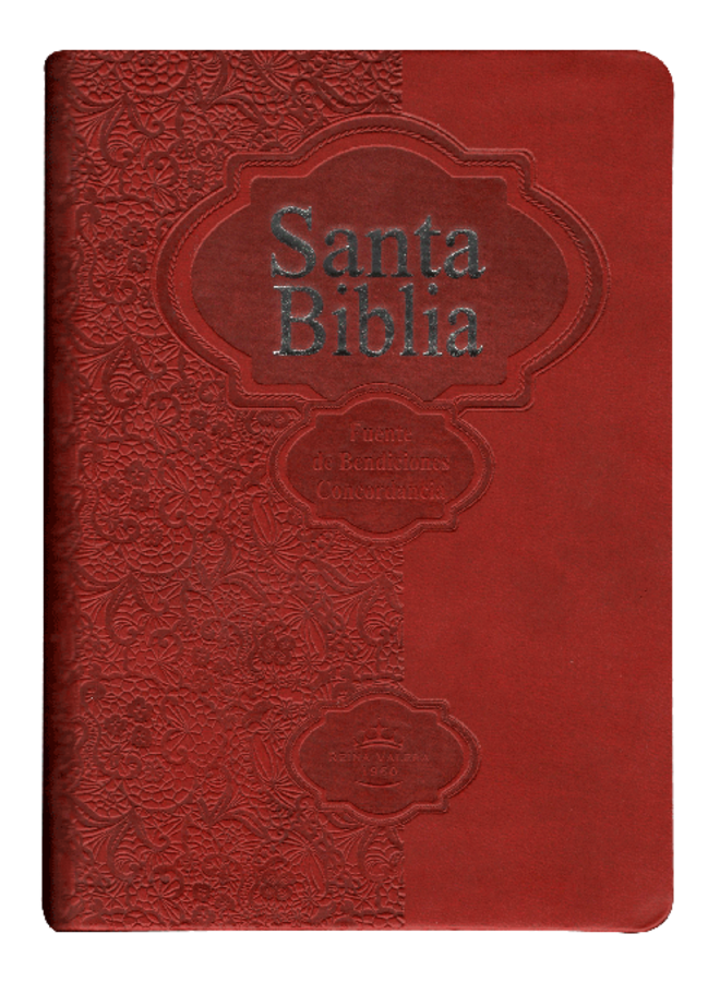 SANTA BIBLIA RVR60 FUENTE DE BENDICONES VERMELHO
