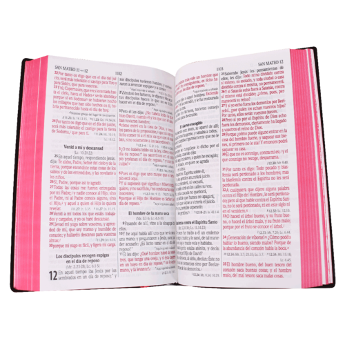 SOCIEDAD BIBLICA BIBLIA RVR60 LETRA GRANDE PALABRAS DE JESUS EN ROJO, VINIL NEGRO,