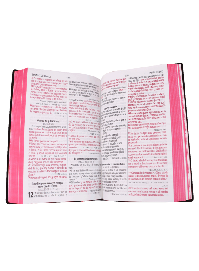 BIBLIA RVR60 LETRA GRANDE PALABRAS DE JESUS EN ROJO, VINIL NEGRO,