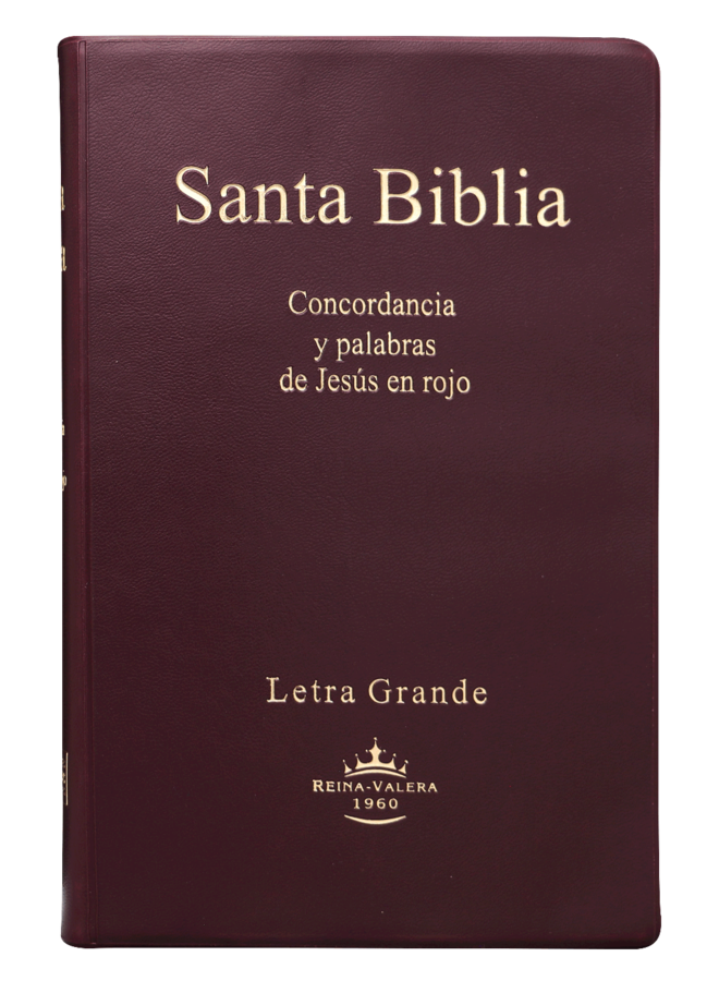 SANTA BIBLIA RVR60 MEDIANA LETRA GRANDE VINIL VINO