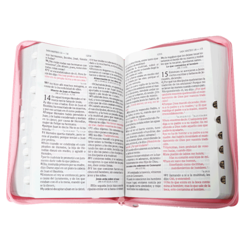 SOCIEDAD BIBLICA BIBLIA RVR60 INDICES CON CIERRE LETRA GRANDE ROSA