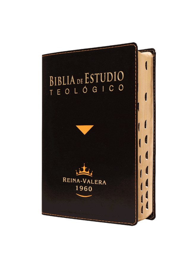 BIBLIA DE ESTUDIO TEOLOGICO RVR60