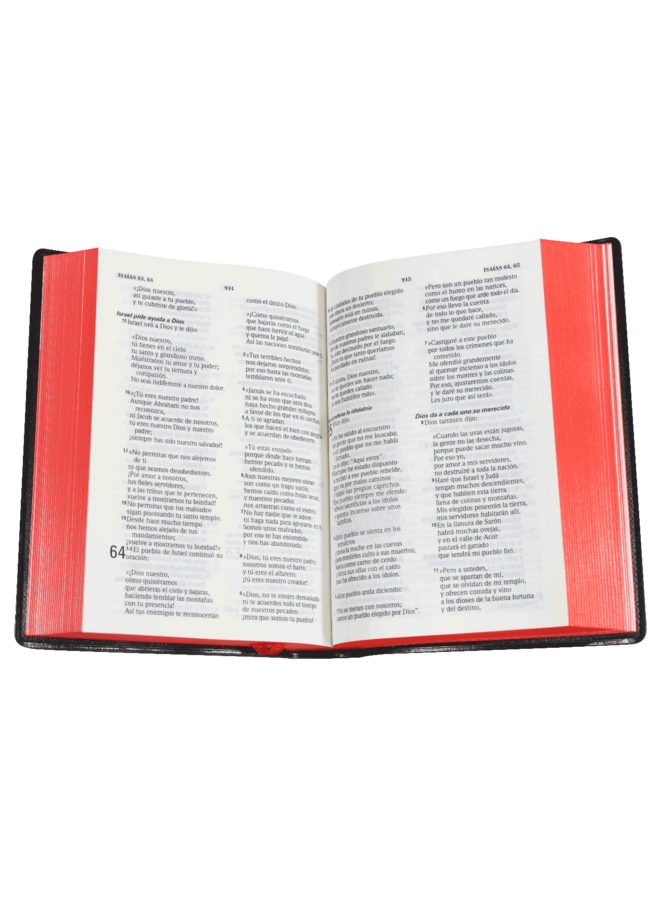 BIBLIA RVR60 VINIL NEGRA CHICA