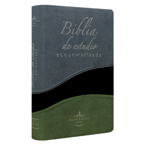 SOCIEDAD BIBLICA BIBLIA DE ESTUDIO ESQUEMATIZA TELA