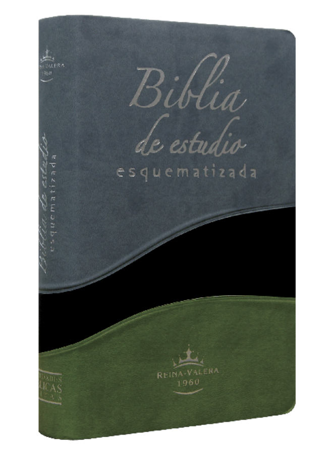 BIBLIA DE ESTUDIO ESQUEMATIZA TELA