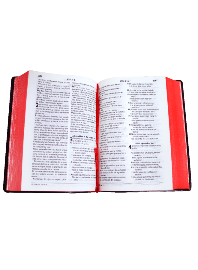 SANTA BIBLIA RVR60 VINIL NEGRO