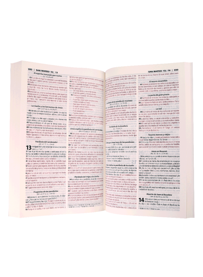 BIBLIA RVR60 MISIONERA RUSTICA