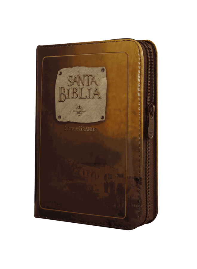 SANTA BIBLIA RVR60 LETRA GRANDE CHICA VINIL CAFE