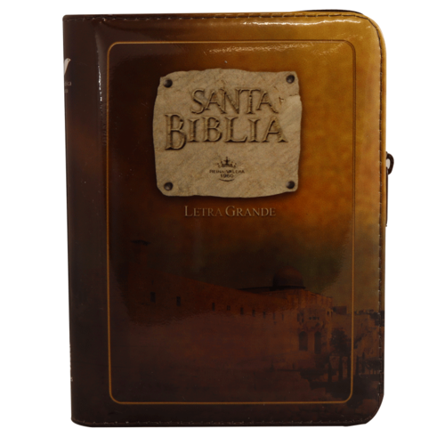 SOCIEDAD BIBLICA SANTA BIBLIA RVR60 LETRA GRANDE CHICA VINIL CAFE