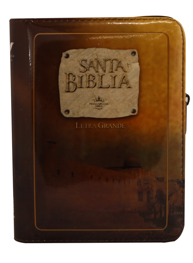 SANTA BIBLIA RVR60 LETRA GRANDE CHICA VINIL CAFE