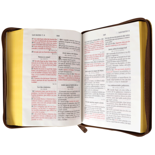 SOCIEDAD BIBLICA SANTA BIBLIA RVR60 LETRA GRANDE CHICA VINIL CAFE