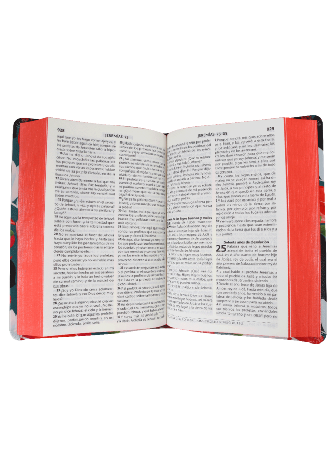 BIBLIA RVR065CLG V COLORES