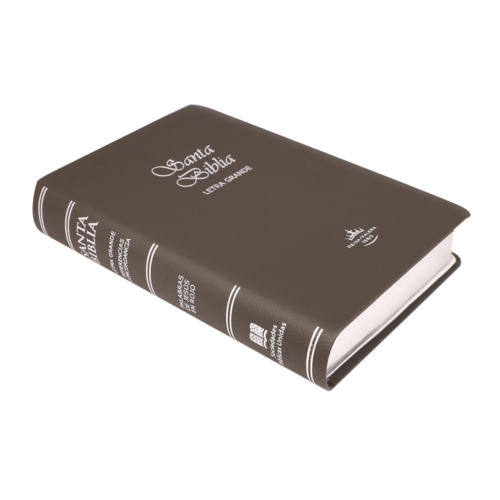 SOCIEDAD BIBLICA BIBLIA RVR065CLGC IP GRIS