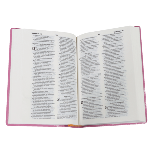 SOCIEDAD BIBLICA BIBLIA RVR60 ROSA MANUAL ECONOMICA