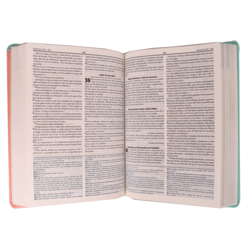 SOCIEDAD BIBLICA SANTA BIBLIA RVR60 FUENTE DE BENDICIONES PIEL ROSA