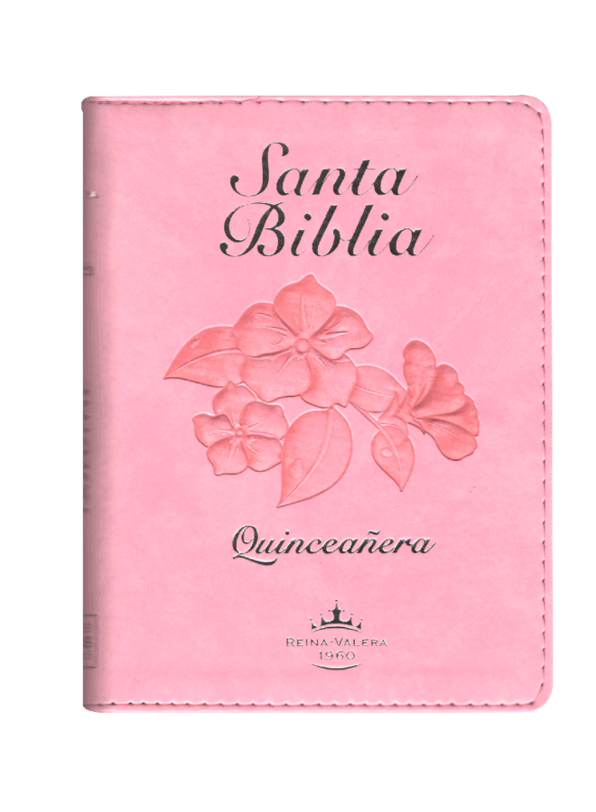 SANTA BIBLIA RVR60 FUENTE DE BENDICIONES CON CIERRE ROSA