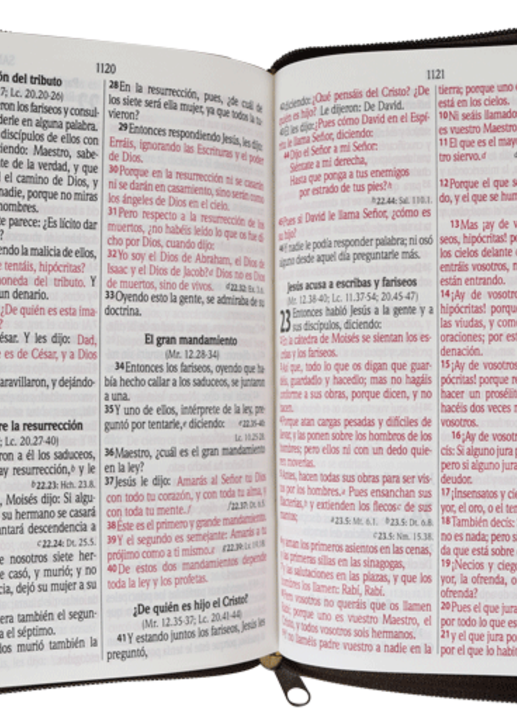 SOCIEDAD BIBLICA SANTA BIBLIA RVR60 LETRA GRANDE INDICES CON CIERRE LEON