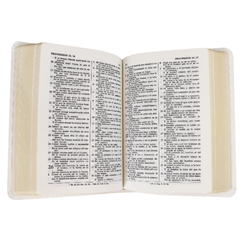 SOCIEDAD BIBLICA SANTA BIBLIA RVR60 AMIGOS POR SIEMPRE TELA AZUL
