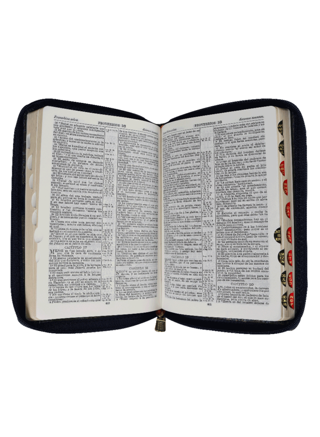 BIBLIA RVR09 CHICA ENCAJE