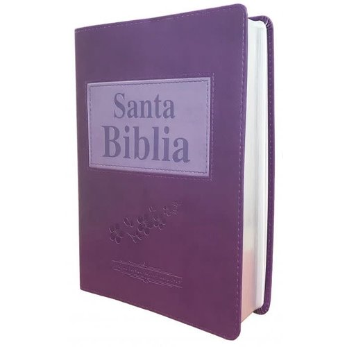 SOCIEDAD BIBLICA SANTA BIBLIA ANTIGUA VERSION RVR1909 SIMI PIEL VIOLETA