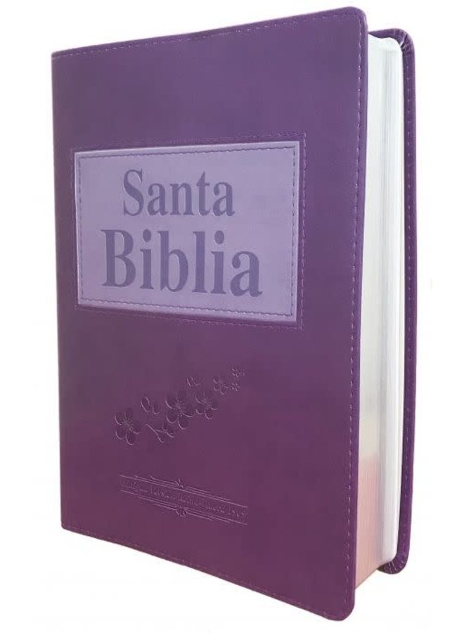 SANTA BIBLIA ANTIGUA VERSION RVR1909 SIMI PIEL VIOLETA