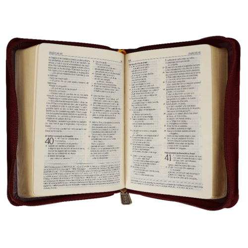 SOCIEDAD BIBLICA LA BIBLIA DIOS HABLA HOY CIERRE VINO