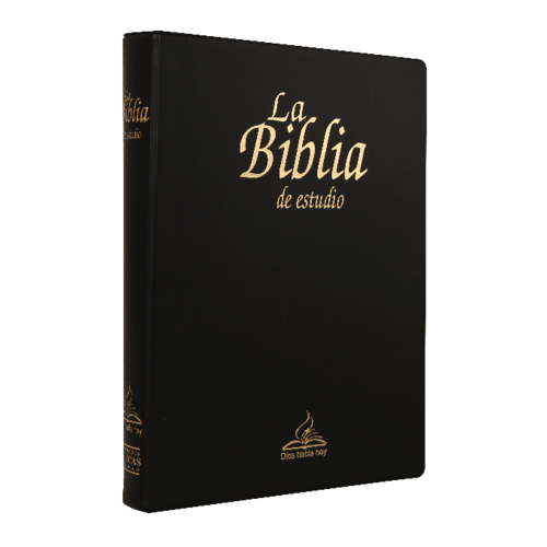 SOCIEDAD BIBLICA SANTA BIBLIA DIOS HABLA HOY ESTUDIO VINIL