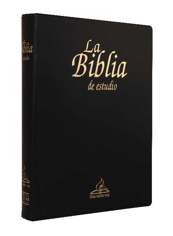 SANTA BIBLIA DIOS HABLA HOY ESTUDIO VINIL