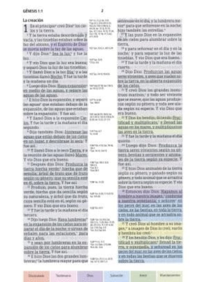 BIBLIA DE ESTUDIO ARCOIRIS RVR60 T COLORES