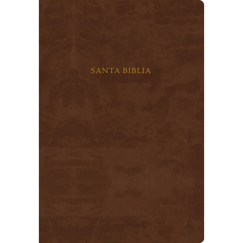 BROADMAN AND HOLMAN SANTA BIBLIA RVR60 ESTUDIO SCOFIELD PIEL CAFE BROADMAN AND HOLMAN SANTA BIBLIA RVR60 ESTUDIO SCOFIELD PIEL CAFE