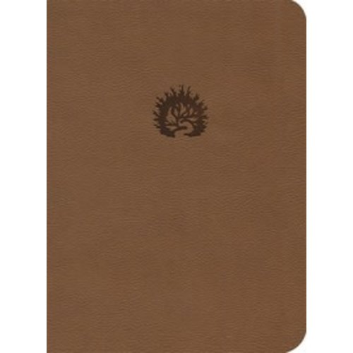 POIEMA LA BIBLIA DE ESTUDIO DE LA REFORMA CAFE POIEMA LA BIBLIA DE ESTUDIO DE LA REFORMA CAFE