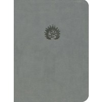 LA BIBLIA DE ESTUDIO DE LA REFORMA GRIS