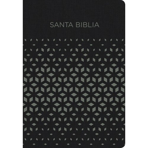 HOLMAN EN ESPANOL NVI Biblia para Regalos y Premios, negro/plata símil piel HOLMAN EN ESPANOL NVI Biblia para Regalos y Premios, negro/plata símil piel