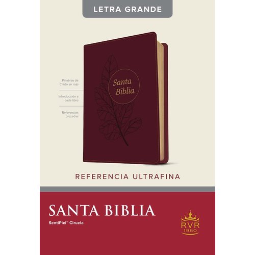 TYNDALE ESPANOL Santa Biblia RVR60, Ciruela, Edición de referencia ultrafina, letra grande