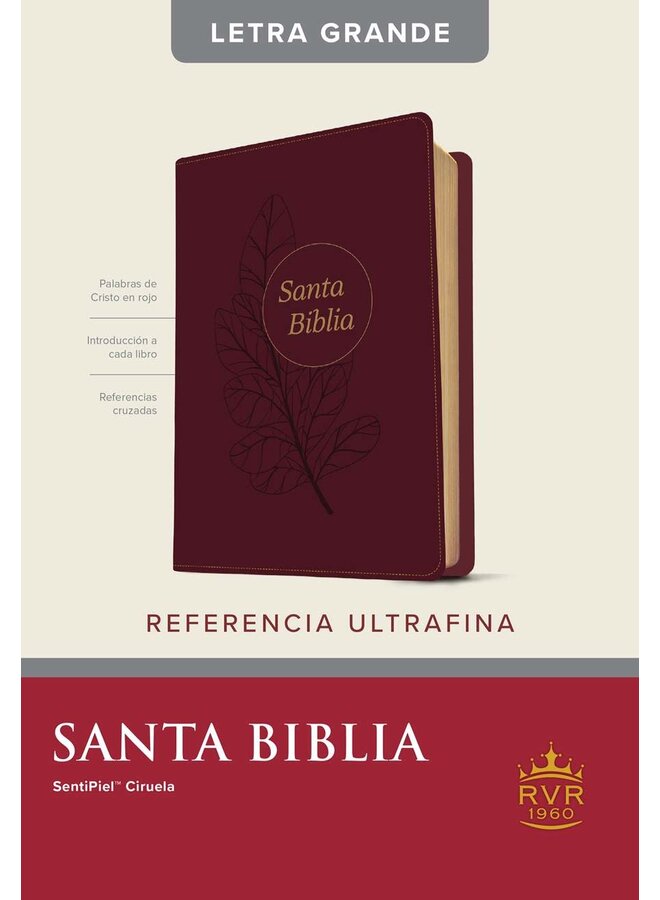 Santa Biblia RVR60, Ciruela, Edición de referencia ultrafina, letra grande
